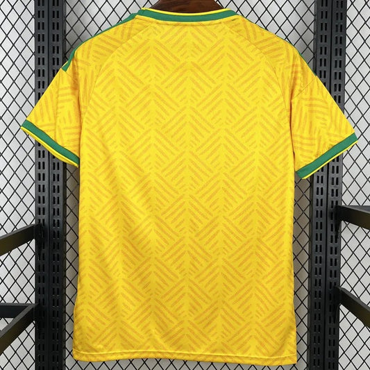 South Africa Home 2026 World Cup