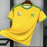 South Africa Home 2026 World Cup