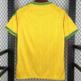 South Africa Home 2026 World Cup