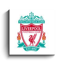 team logo
