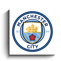 team logo