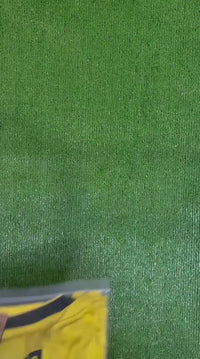Brazil
